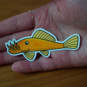 Bristlenose Pleco waterproof paper sticker, aquarium sticker, decoration, fishkeeper, diary fancy sticker image 2