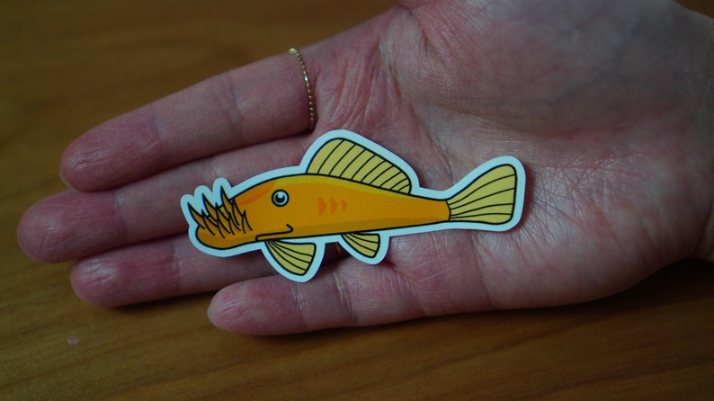 Bristlenose Pleco waterproof paper sticker, aquarium sticker, decoration, fishkeeper, diary fancy sticker 1 small sticker