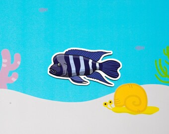 Frontosa Cichlid, Humphead cichlid-  waterproof paper sticker, aquarium sticker, decoration, fishkeeper, diary fancy sticker