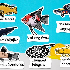 Assorted fish sticker pack waterproof paper sticker, aquarium sticker, decoration, fishkeeper, diary fancy sticker image 4