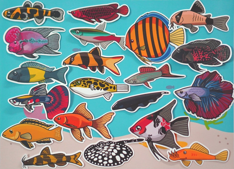 Pack d'autocollants poissons assortis autocollant papier imperméable, autocollant aquarium, décoration, aquariophile, autocollant fantaisie journal image 1