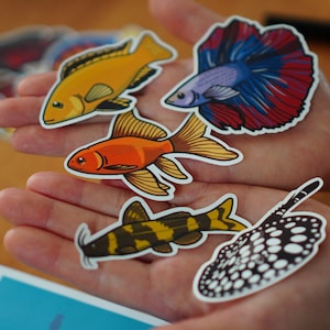 Assorted fish sticker pack waterproof paper sticker, aquarium sticker, decoration, fishkeeper, diary fancy sticker image 7