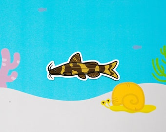 Bumblebee Catfish (Microglanis iheringi) -  waterproof paper sticker, aquarium sticker, decoration, fishkeeper, diary fancy sticker