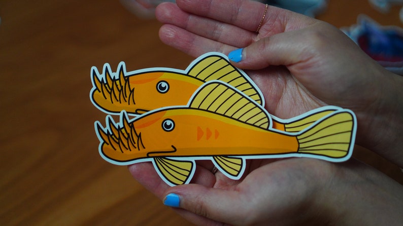 Bristlenose Pleco waterproof paper sticker, aquarium sticker, decoration, fishkeeper, diary fancy sticker image 4