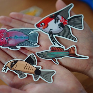 Assorted fish sticker pack waterproof paper sticker, aquarium sticker, decoration, fishkeeper, diary fancy sticker image 8