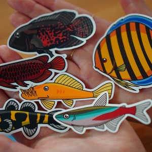 Assorted fish sticker pack waterproof paper sticker, aquarium sticker, decoration, fishkeeper, diary fancy sticker image 6