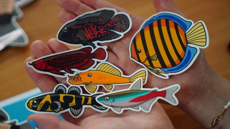 Assorted fish sticker pack waterproof paper sticker, aquarium sticker, decoration, fishkeeper, diary fancy sticker image 6