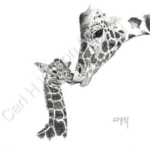 Mother’s Love| Baby & Mama Giraffe Art Print | 11x14 Wildlife Wall Decor | Pen and Ink Animal Drawing | Zoo Safari Nursery Art