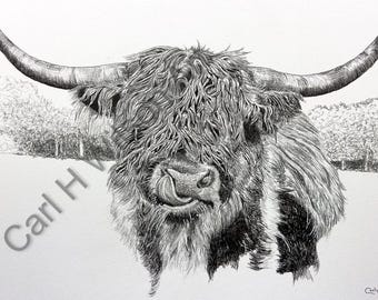 Highland Cow Wall Art Print – Rustic Farmhouse Décor, Country Animal Illustration (11x17)