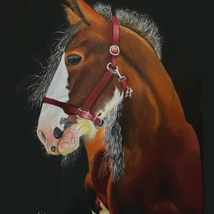 Horse Portrait Art Print | 8x10 11x14 Oil Painting Wall Decor | Rustic Farmhouse Western Equestrian Gift