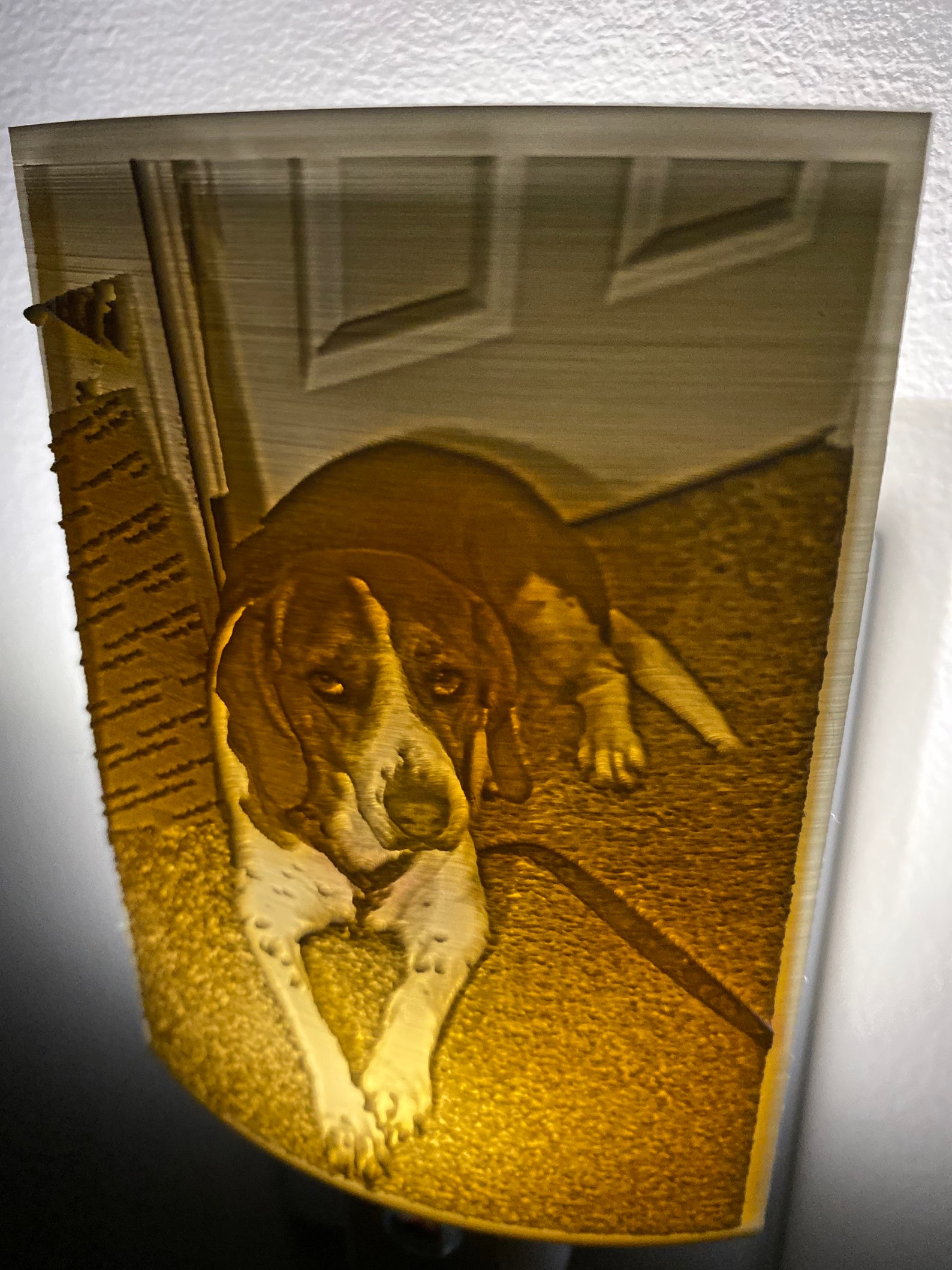 Custom Pet Photo Night Light Personalized Pet Night Light Etsy