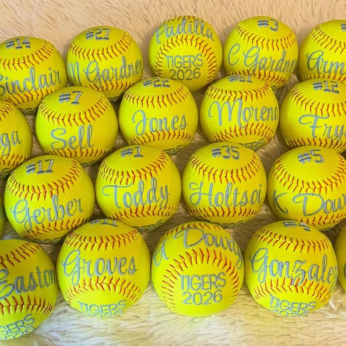 Softbol personalizado, regalo del equipo de softbol, regalo del entrenador de softbol, regalo del papá del softbol, regalo para personas mayores, softbol bordado, banquete