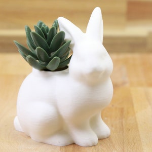 Könnte beinhalten: Ein weißer Keramik-Hasen-Pflanztopf mit einer grünen Sukkulente. Der Hase hat lange Ohren und einen abgerundeten Körper. Die Sukkulente hat eine tiefgrüne Farbe und fügt dem dekorativen Pflanztopf ein natürliches Element hinzu.