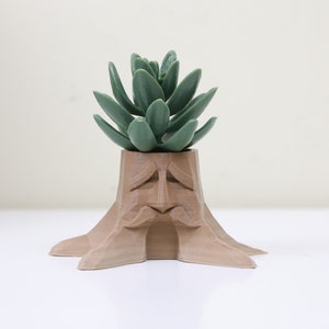 Great Deku Tree Planter Succulent Air Plant Holder Zelda Inspiré Cadeau