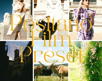 Positano Film Lightroom Preset, Airy DNG Mobile + Desktop (Digital Download)