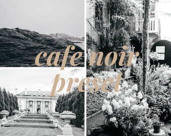 Cafe NOIR Lightroom Presets: Black and White Film (DNG File)