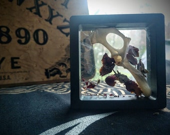 May include: A bone fragment and dried flowers encased in a black square frame. The background features a vintage Ouija board with the numbers "890" and the word "YE" visible.