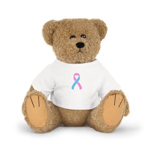 Puede incluir: Un oso de peluche marrón que lleva una camiseta blanca con una cinta azul y rosa en la parte delantera.