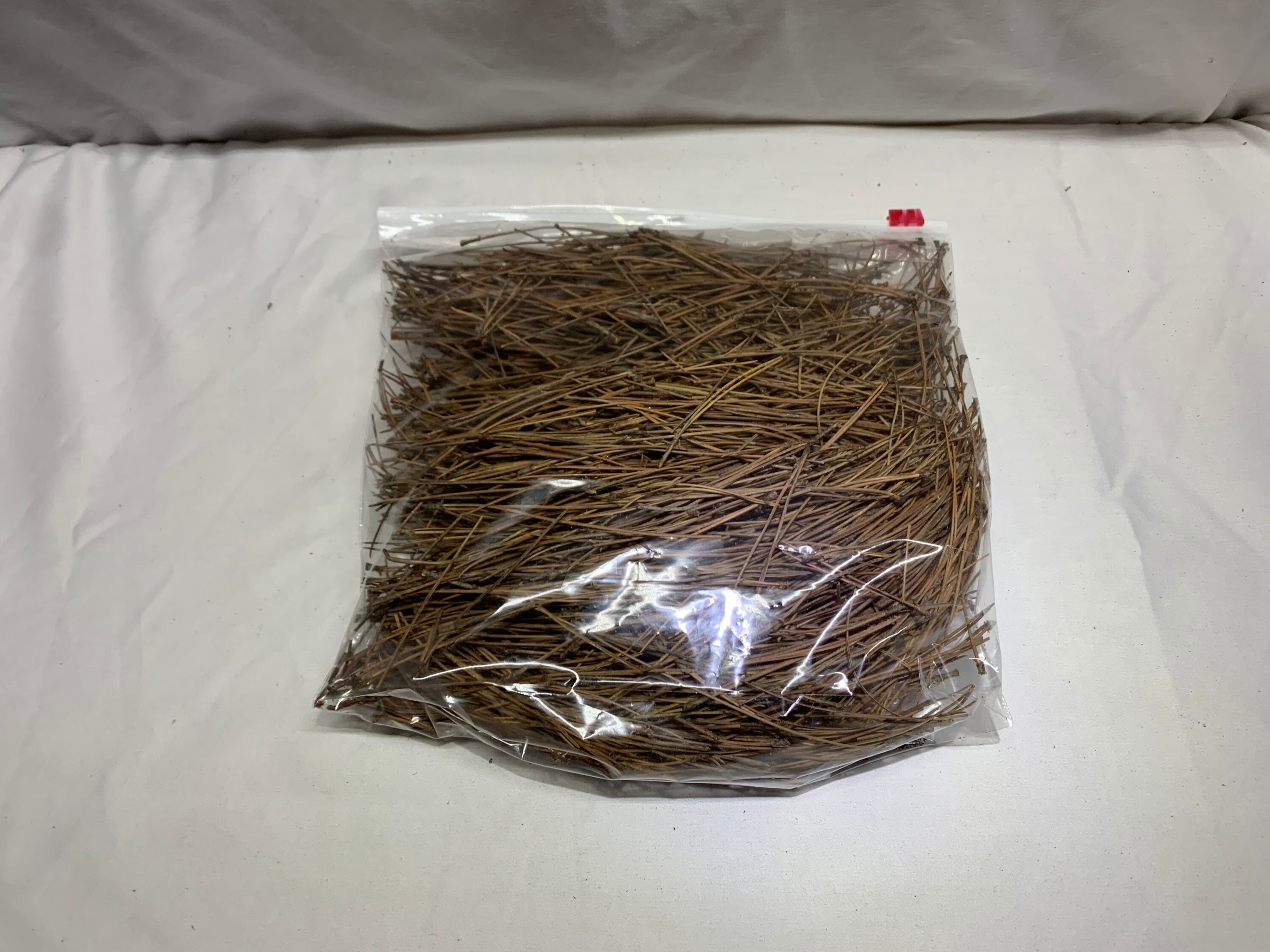 Pine Needles Dried Etsy
