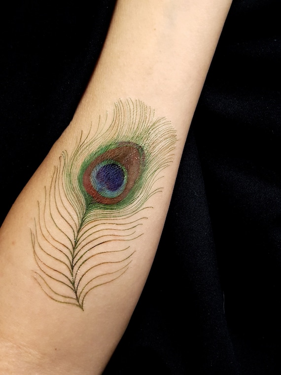 Aggregate more than 136 feather peacock tattoo