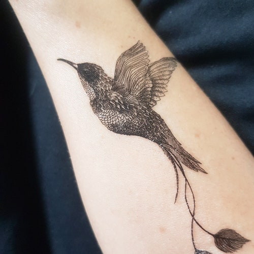 Untitled  hummingbird tattoo from today with a mandala