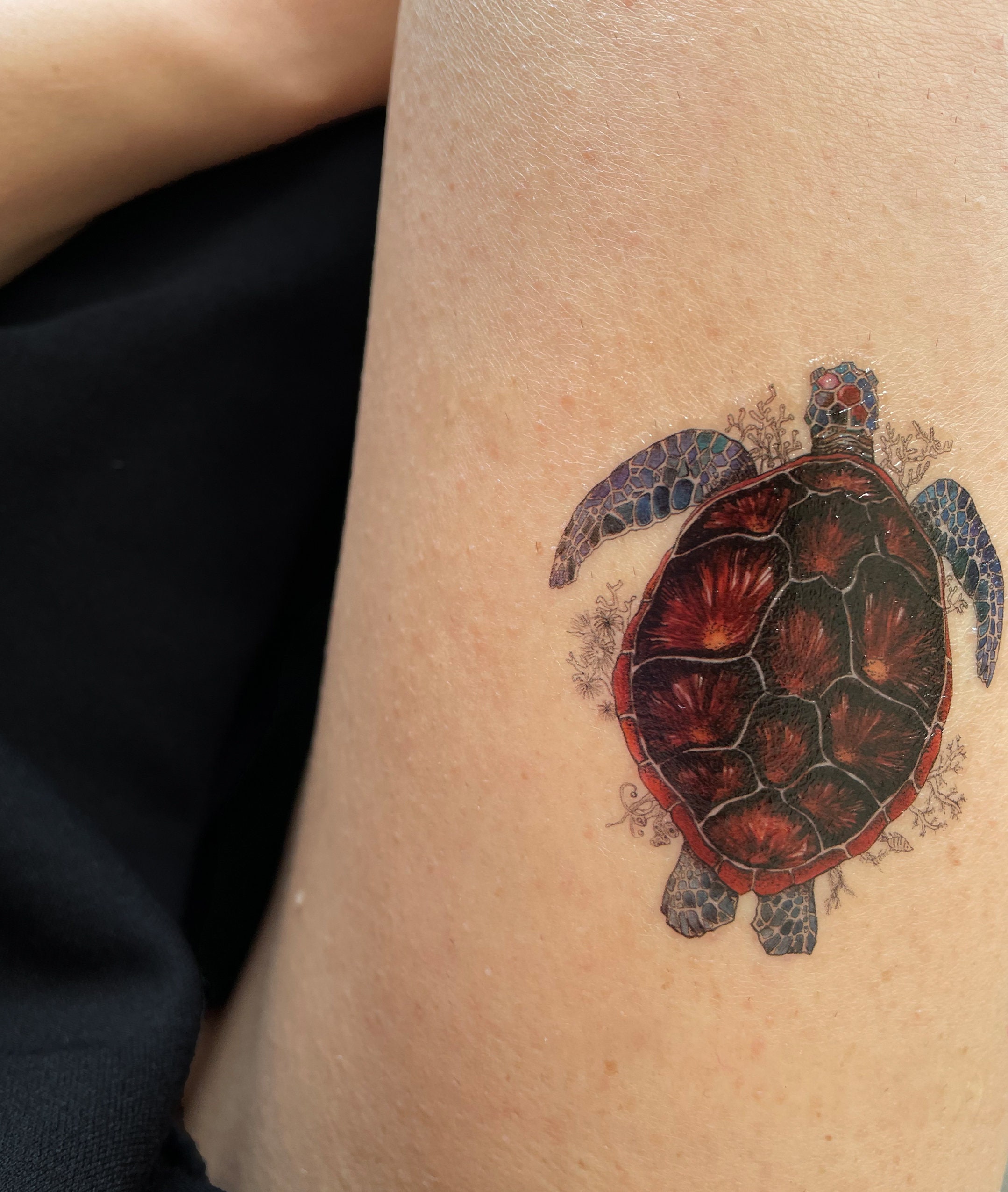 Tatuaggio tartaruga - Etsy Italia