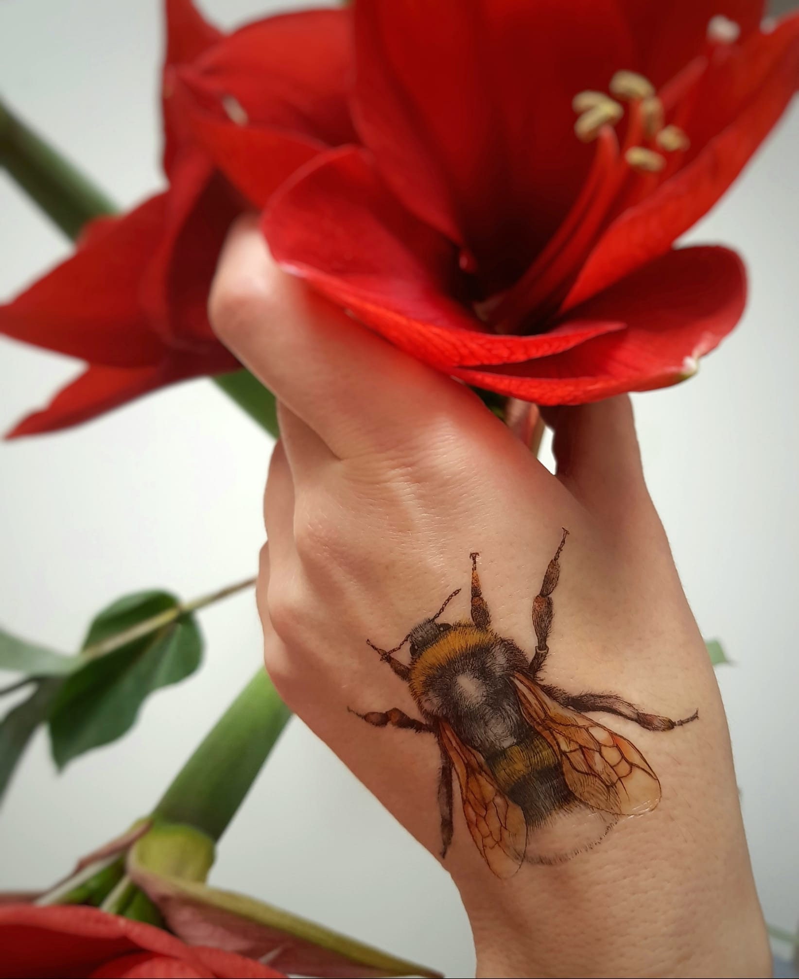 BUMBLEBEE Temporary Tattoo Humblebee Tattoo Multicolor - Etsy