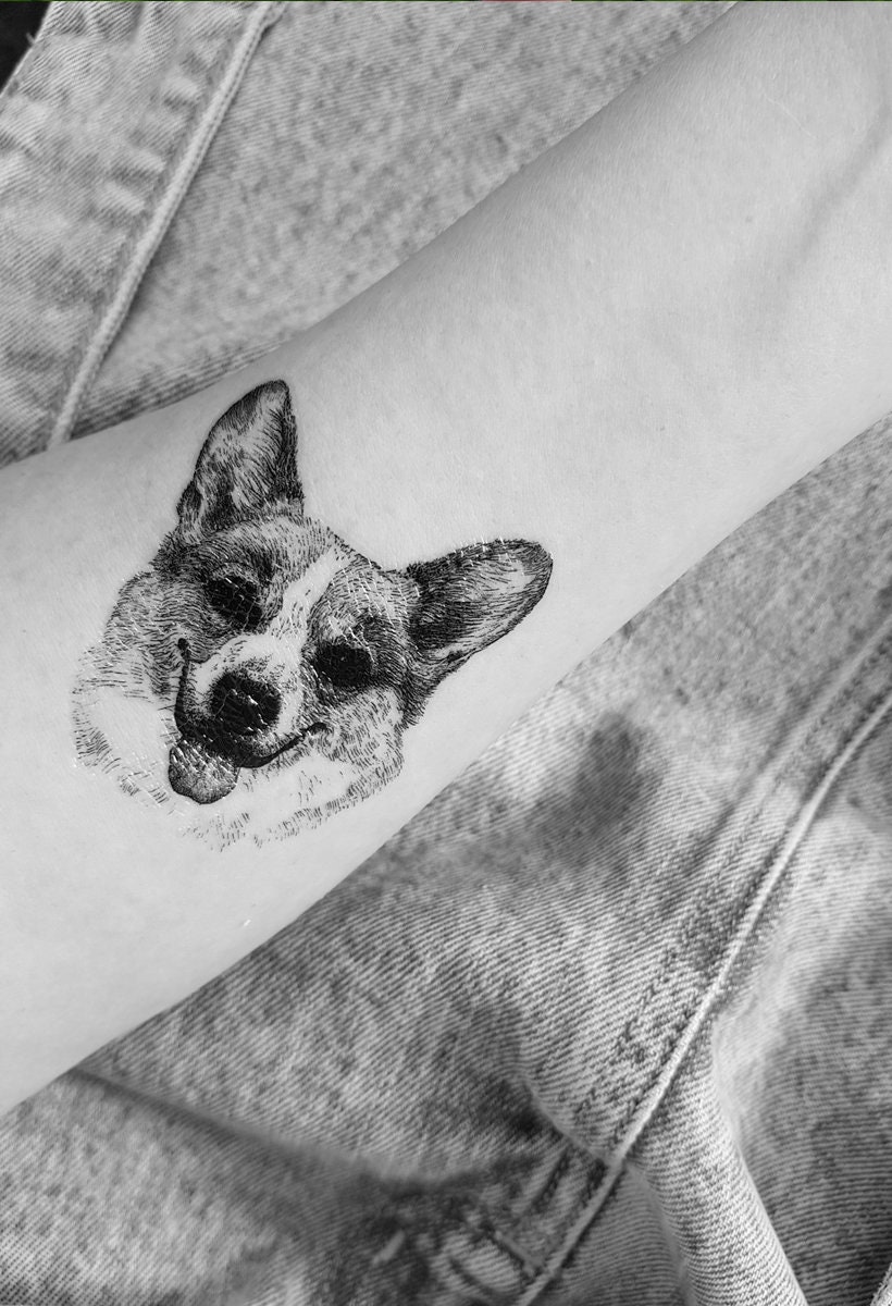 Dreaming Corgi tattoo by Susanne König  Tattoogridnet