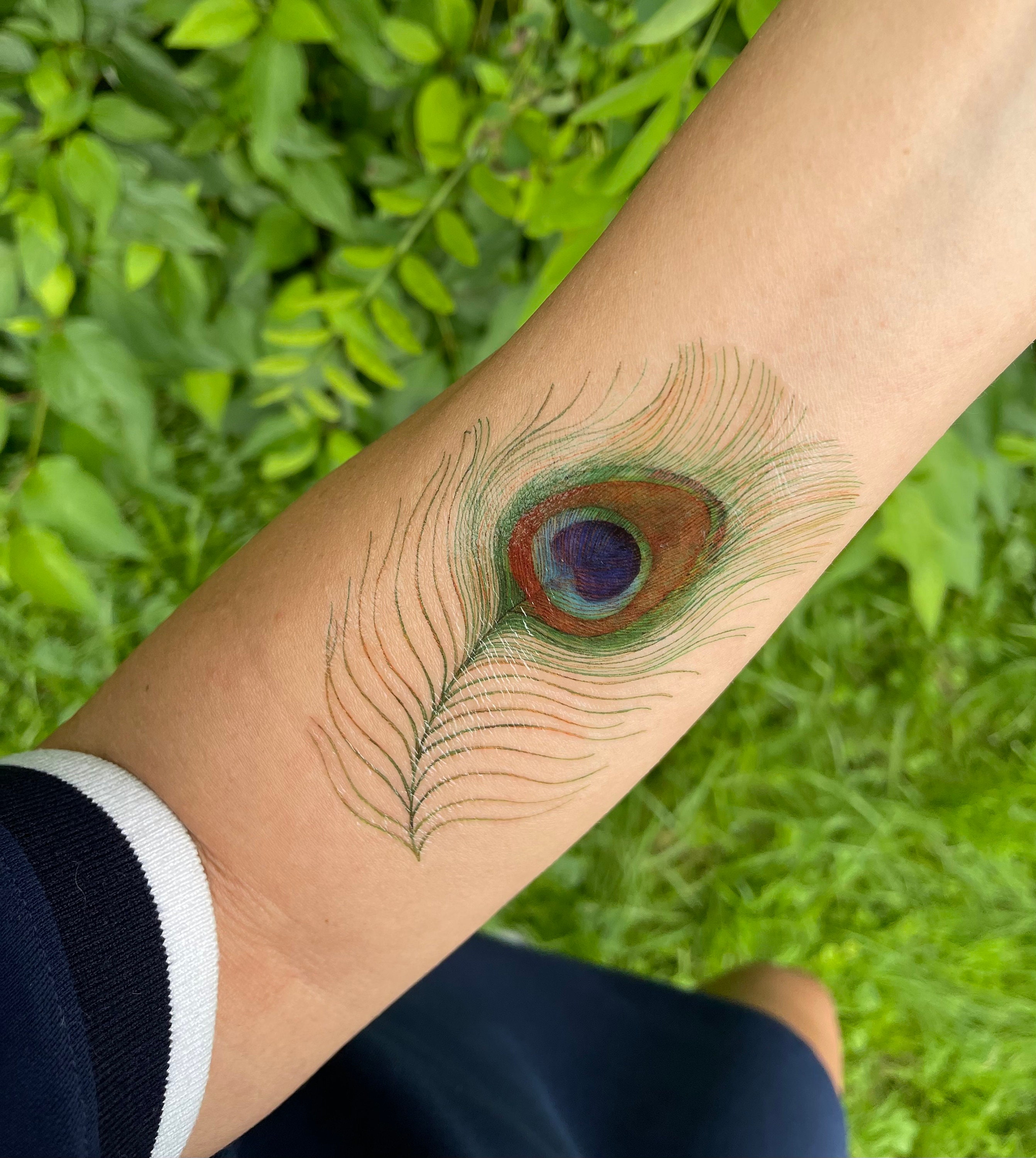 14 Beautiful Peacock Feather Tattoo Ideas for Women in 2023