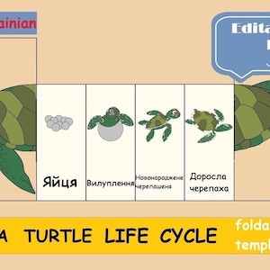 Schildkröte Lebenszyklus auf Ukrainisch, Montessori Karten Digital Download Print Schildkröte faltbar Vorschule Homeschool Kinder Lernaktivität