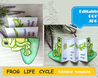 Frog life cycle, Printable PDF Foldable Frog Life Cycle Learning Activity For Kids Montessori Material Mini Nature Study foldable kids craft