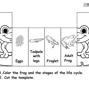 May include: Black and white template illustrating the life cycle of a frog. Stages include eggs, tadpole with legs, froglet, and adult frog. Instructions: Color the frog and the stages of the life cycle, then cut the template.