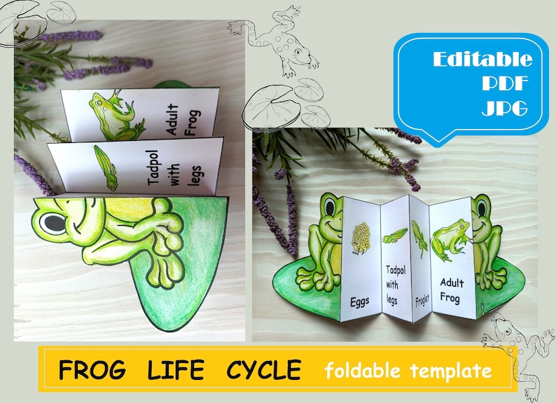 May include: A foldable template illustrating the frog life cycle, featuring stages from eggs to adult frog. The design includes a green frog illustration and the text "FROG LIFE CYCLE foldable template". The template is available in PDF and JPG formats.