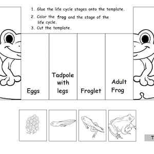 May include: Black and white educational template illustrating the life cycle of a frog. The template includes stages labeled "Eggs", "Tadpole with legs", "Froglet", and "Adult Frog", with instructions to glue, color, and cut.
