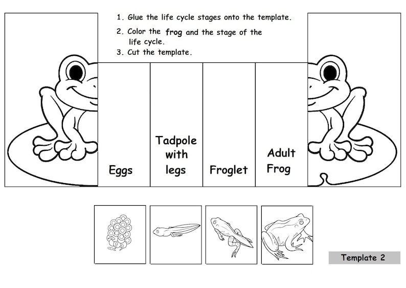 May include: Black and white educational template illustrating the life cycle of a frog. The template includes stages labeled "Eggs", "Tadpole with legs", "Froglet", and "Adult Frog", with instructions to glue, color, and cut.