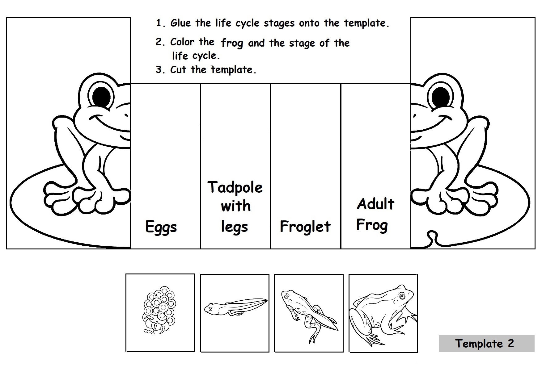 Frog Life Cycle, Printable PDF Foldable Frog Life Cycle Learning Activity for Kids Montessori Material Mini Nature Study Foldable Kids Craft - Etsy frog-life-cycle-printable-pdf-foldable-frog-life-cycle-learning-activity-for-kids-montessori-material-mini-nature-study-foldable-kids-craft-etsy