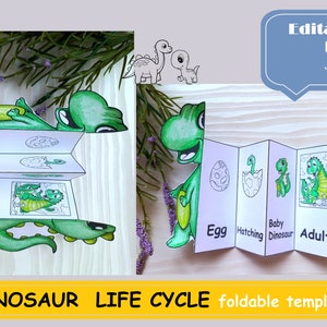 Ciclo di vita dei dinosauri, Dinosauri, Attività del ciclo di vita pieghevole per bambini Montessori Download digitale Carte Montessori Schede flash Prescolare