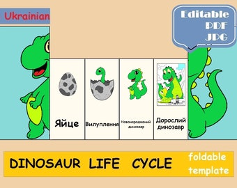 Dinosaur life cycle in Ukrainian, Dinosaurs, Foldable Life Cycle Kids Activity Montessori Digital Download Montessori Flash Cards Preschool