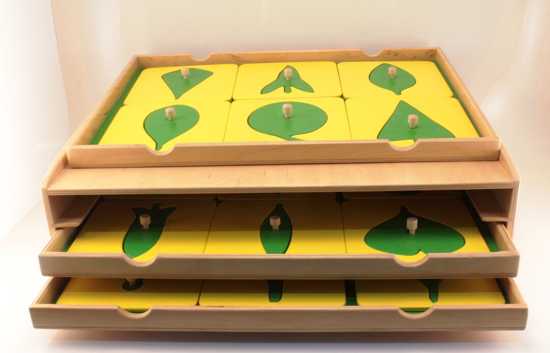 Montessori Botany, of Leaf, Shapes Botany, Leaf With