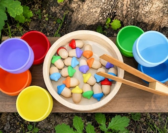 Set di ghiande in legno, giocattolo per l'ordinamento dei colori, giocattoli per contare, giocattoli Montessori Waldorf, ghiande e ciotole in legno, giocattolo sensoriale, parti sfuse abbinate