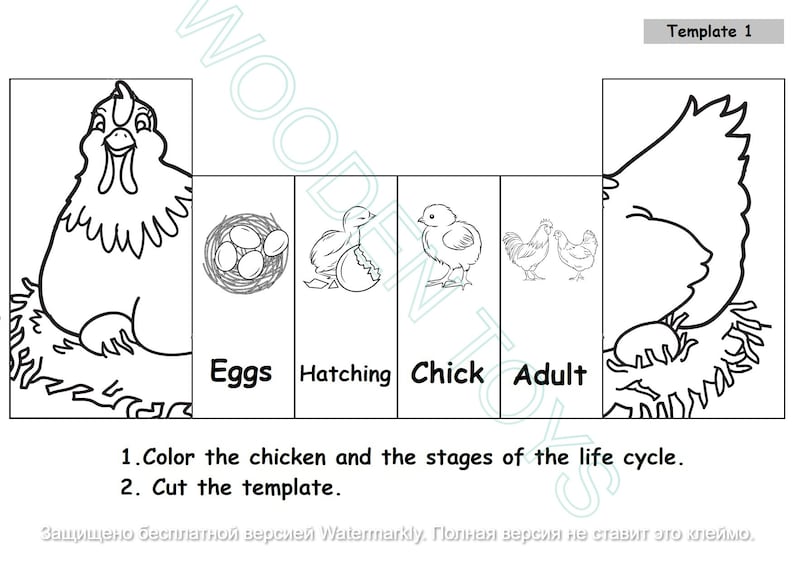 May include: Black and white line art illustration of a chicken life cycle. The stages include a hen sitting on a nest of eggs, a chick hatching from an egg, a baby chick, and an adult rooster and hen.