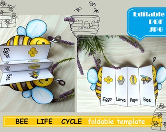 Bee Life Cycle Printable, Foldable Bee Life Cycle, Montessori digital cards Montessori Learning Educational Preschool Insects Classroom Unit