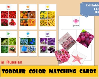 Toddler Color Matching Cards in Russian, Bilingual cards, Montessori cards Nature Color 10 colors Learning Binder Color activity sorting