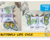 Butterfly Life Cycle, Foldable Butterfly, Montessori cards Butterfly Life Cycle Learning Activity For Kids Digital Download Cut and paste