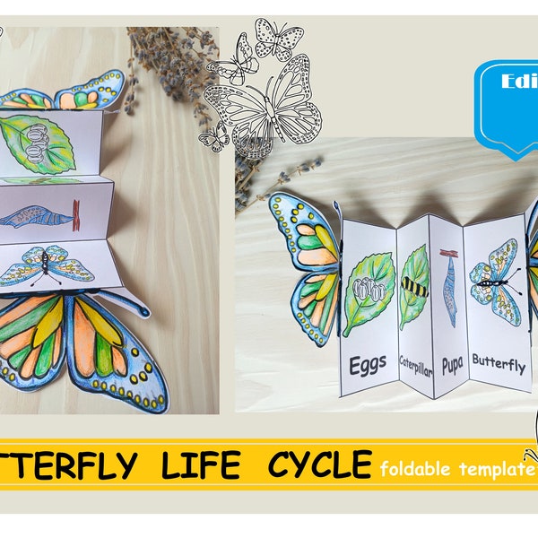 Butterfly Life Cycle, Foldable Butterfly, Montessori cards Butterfly Life Cycle Learning Activity For Kids Digital Download Cut and paste