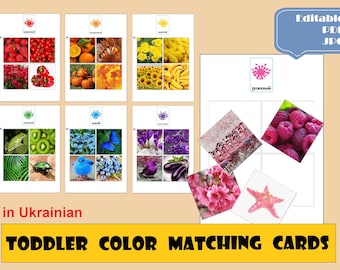 Toddler Color Matching Cards in UKRAINIAN, Montessori cards Nature Color 10 colors Learning Binder Color activity sorting PreK Printable PDF