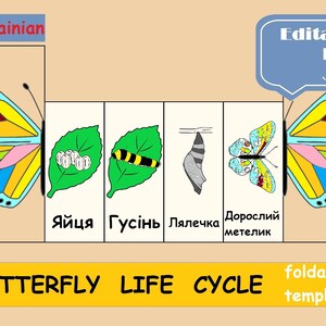 Schmetterlings-Lebenszyklus in der Ukraine