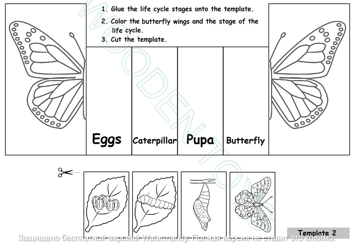 Butterfly Life Cycle Foldable Butterfly Montessori Cards Etsy