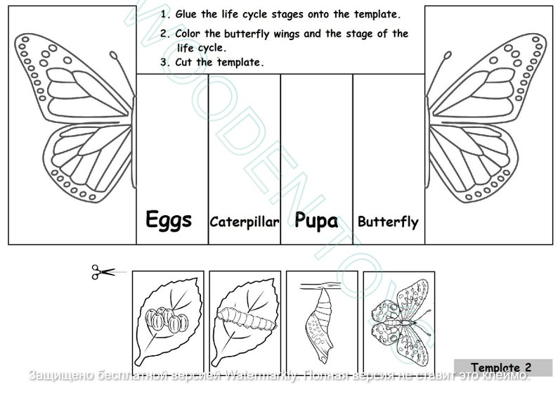 Puede incluir: Hoja de trabajo imprimible en blanco y negro con instrucciones para pegar, colorear y recortar las etapas del ciclo de vida de una mariposa. Las etapas incluyen huevos, oruga, cris&aacute;lida y mariposa. La hoja de trabajo incluye una plantilla con cuatro secciones para cada etapa y una plantilla separada con im&aacute;genes de cada etapa.