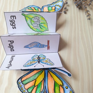 Puede incluir: Una manualidad de papel colorida que representa el ciclo de vida de una mariposa. Las etapas se muestran en orden: huevos, cris&aacute;lida y mariposa. La mariposa es azul, verde y naranja con puntos amarillos.